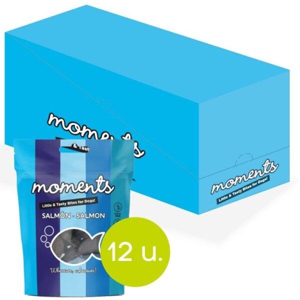 MOMENTS by Bocados SALMÓN 12x60 g